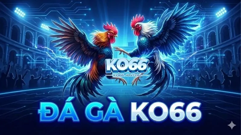 san-choi-da-ga-ko66-kich-tinh-mang-den-trai-nghiem-dinh-cao